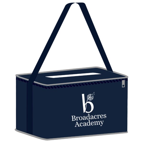 Lunch cooler bag